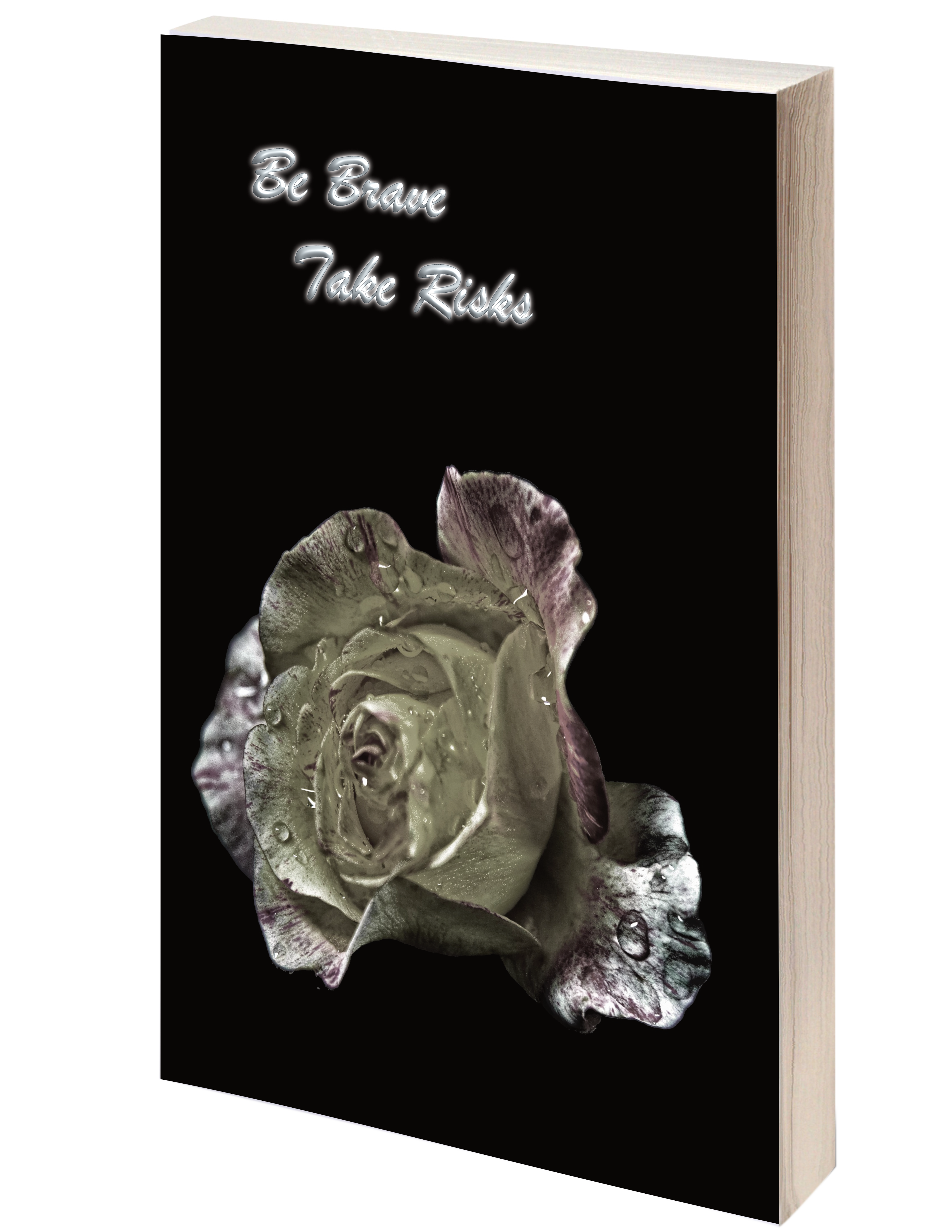 Be Brave Take Risks Be Brave Take Risks