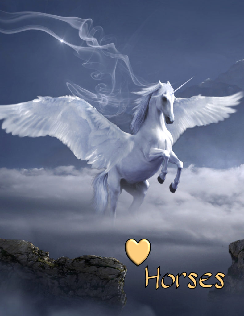 Love Horses Journal